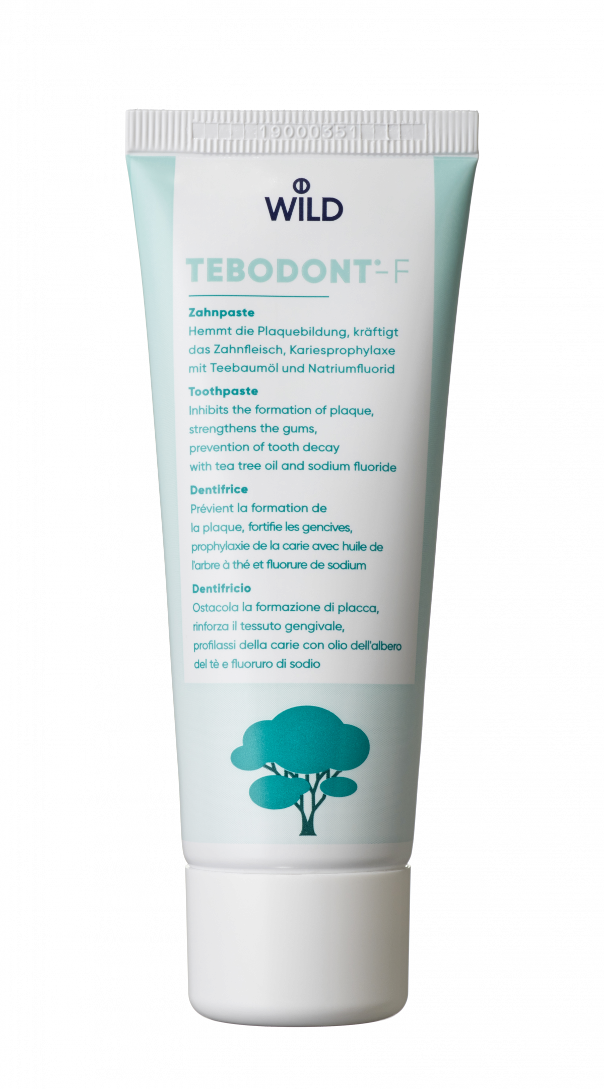Tebodont-F pasta do zębów z fluorem, 75 ml