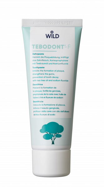 Tebodont-F pasta do zębów z fluorem, 75 ml